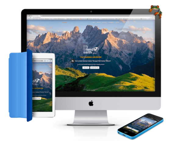 responsive website
